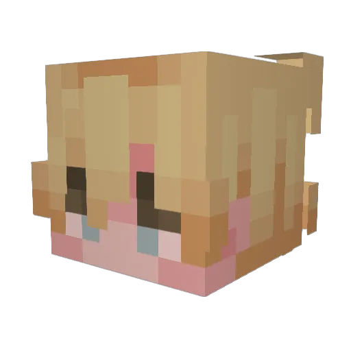 Cute_Spring_Cat Minecraft avatar head, 3D render