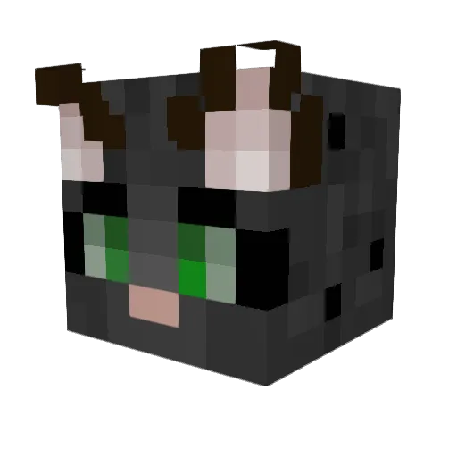 Cute_fluffy Minecraft avatar head, 3D render