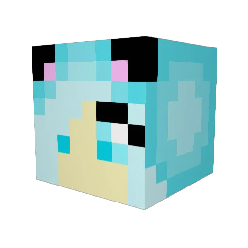 Cutecookie123 Minecraft avatar head, 3D render