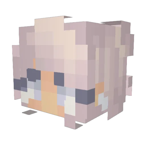 Cutedolphin9 Minecraft avatar head, 3D render