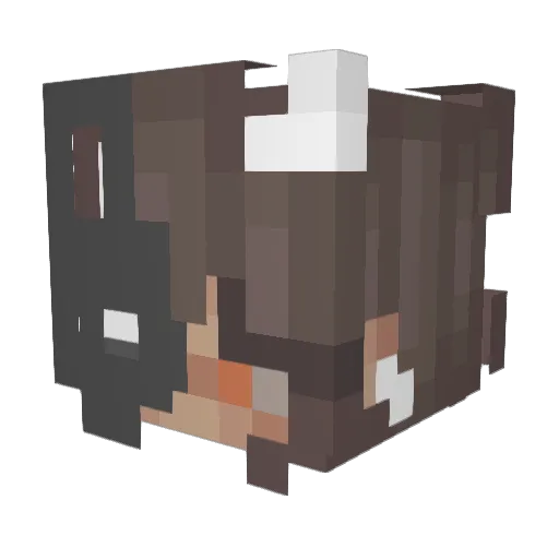Cutedragon717 Minecraft avatar head, 3D render