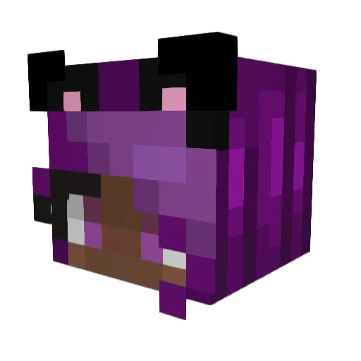 Cutekittyforever Minecraft avatar head, 3D render