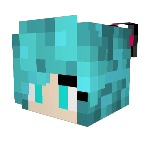 Cutepanda3 Minecraft avatar head, 3D render