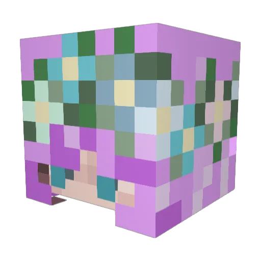 Cutepenguin98 Minecraft avatar head, 3D render