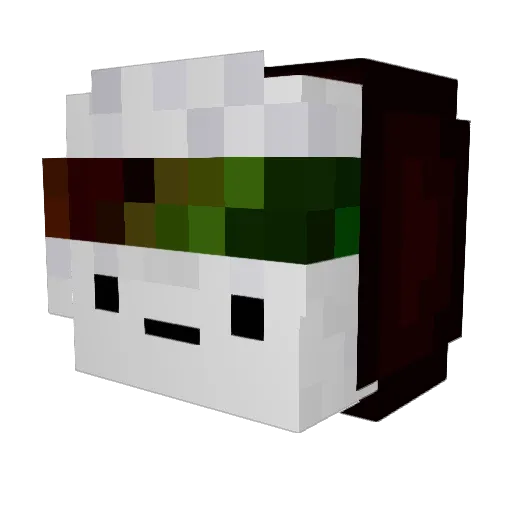 Cutestar798 Minecraft avatar head, 3D render