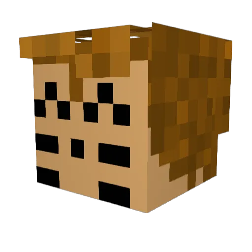 Cuteturtle9 Minecraft avatar head, 3D render