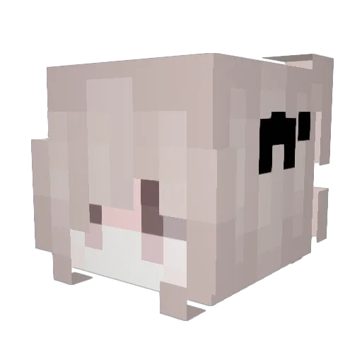 CutieIsabella Minecraft avatar head, 3D render