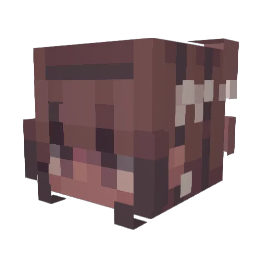 CutieKitty2013 Minecraft avatar head, 3D render
