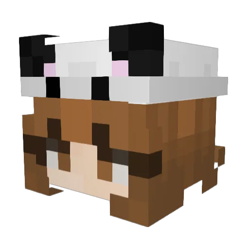 CutiepieSloths Minecraft avatar head, 3D render