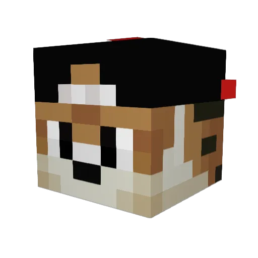 Cuties4Life Minecraft avatar head, 3D render