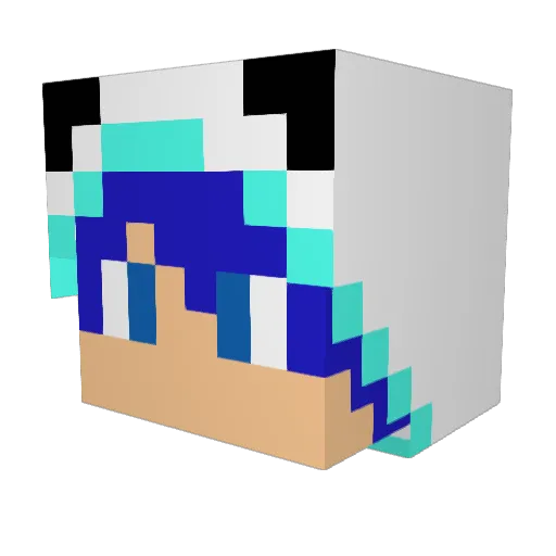 Cutterodst Minecraft avatar head, 3D render