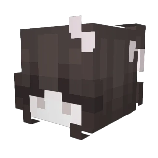 Cuttlefish1123 Minecraft avatar head, 3D render