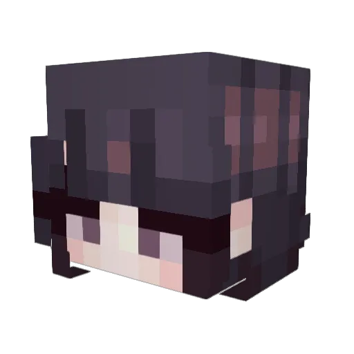 Cuttlefish937 Minecraft avatar head, 3D render