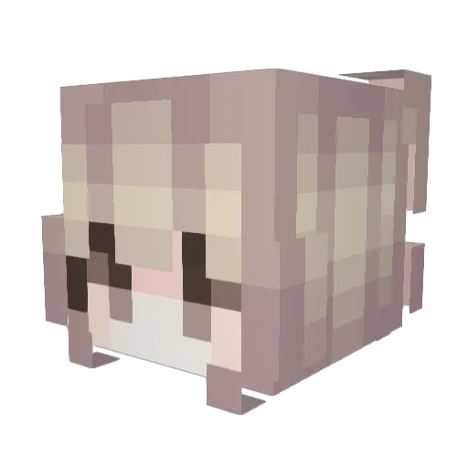 Cuup7 Minecraft avatar head, 3D render