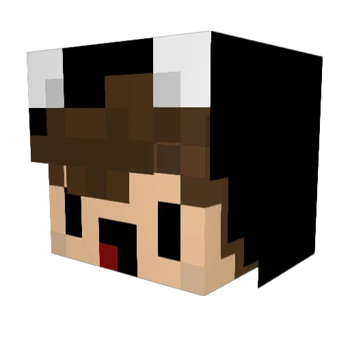 CuzImAdri Minecraft avatar head, 3D render