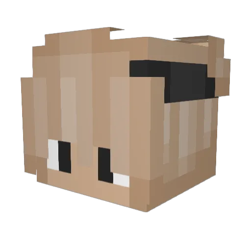 CuzImFine Minecraft avatar head, 3D render