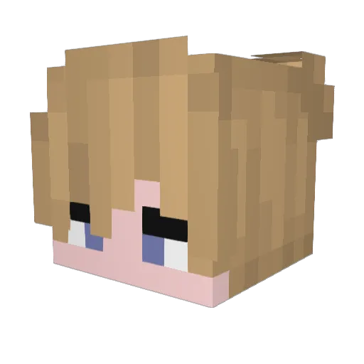 CuzImTom Minecraft avatar head, 3D render