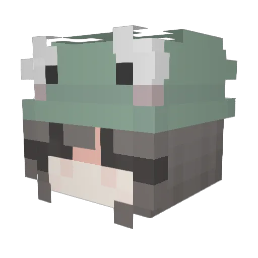 CuzImToniii Minecraft avatar head, 3D render