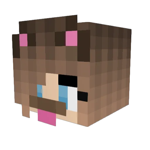 Cuz_Im_Cata Minecraft avatar head, 3D render