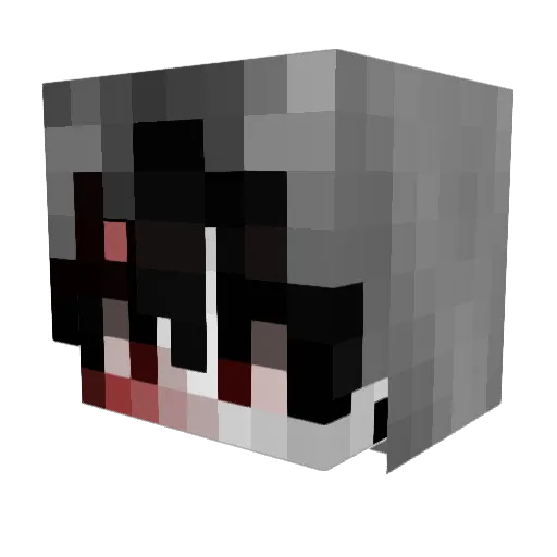 Cvstomz Minecraft avatar head, 3D render