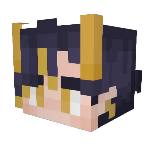 CwambyWonder Minecraft avatar head, 3D render