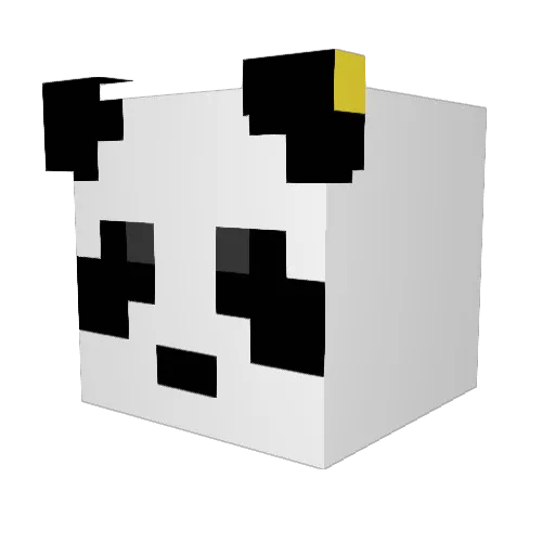 Cwazy_ Minecraft avatar head, 3D render
