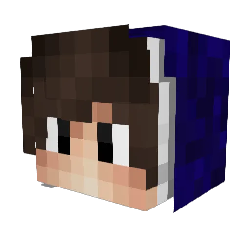 Cwood19 Minecraft avatar head, 3D render