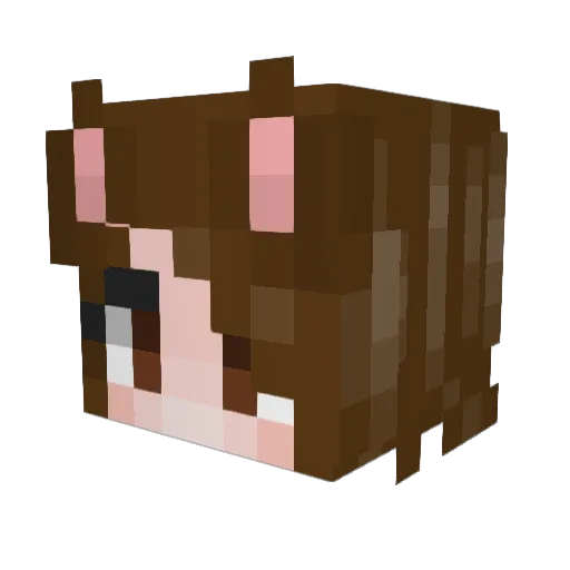Cwookyy Minecraft avatar head, 3D render