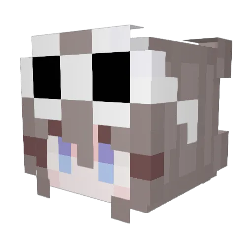 Cwotte Minecraft avatar head, 3D render