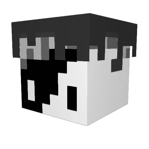 Cxdric_GG Minecraft avatar head, 3D render