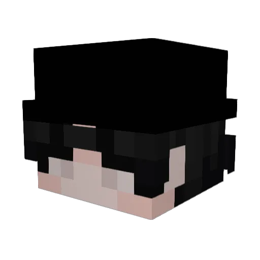 Cxiiden Minecraft avatar head, 3D render