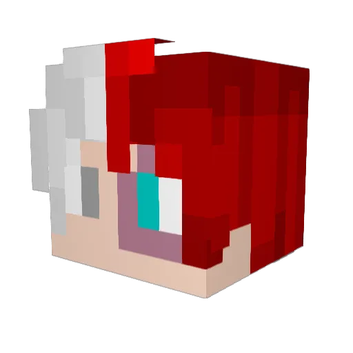 Cxjoo Minecraft avatar head, 3D render