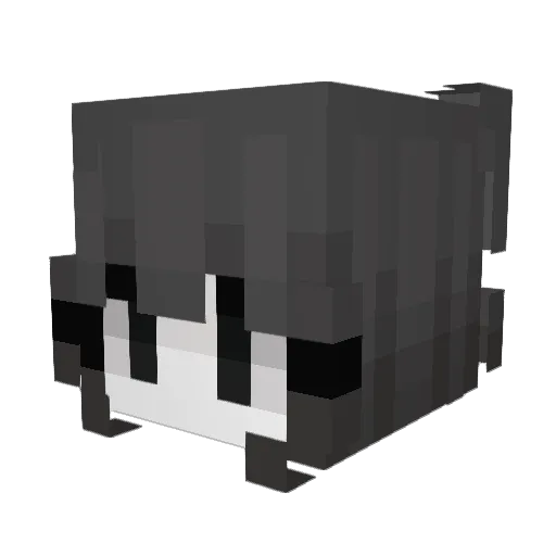 Cxnquista Minecraft avatar head, 3D render