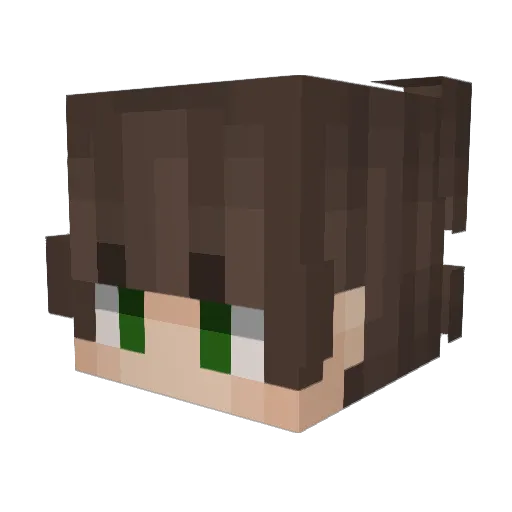 Cxr_0v0 Minecraft avatar head, 3D render