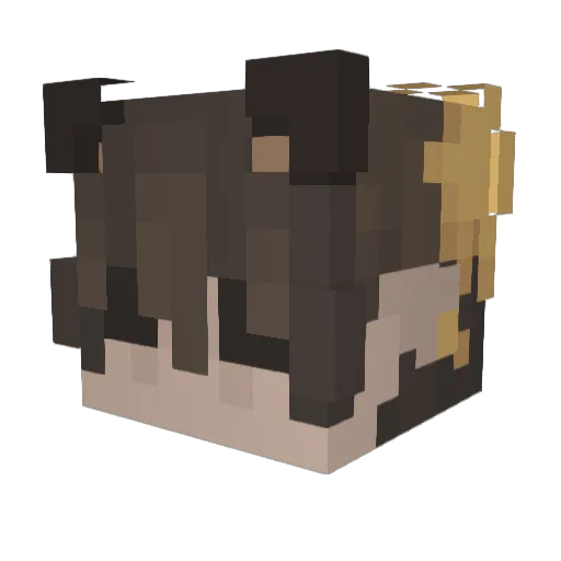 Cxress Minecraft avatar head, 3D render