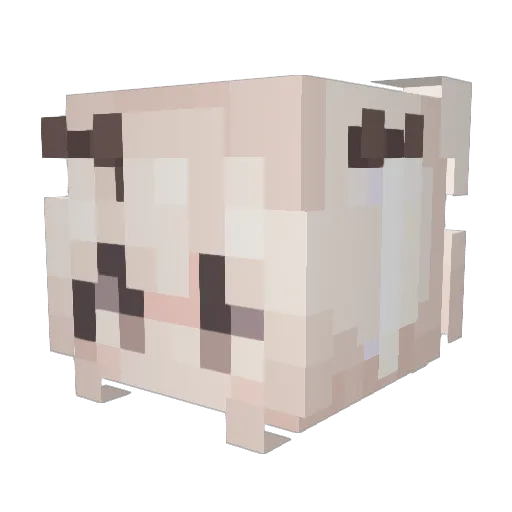Cxrinxx Minecraft avatar head, 3D render