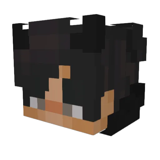 Cxrtis_ Minecraft avatar head, 3D render