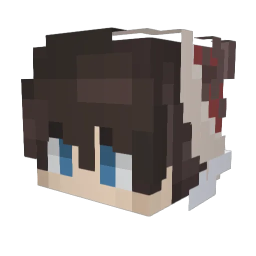 Cxrtr Minecraft avatar head, 3D render