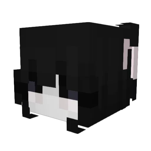 Cxsper___ Minecraft avatar head, 3D render