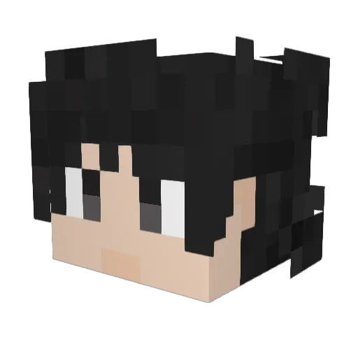 Cxy_08319 Minecraft avatar head, 3D render
