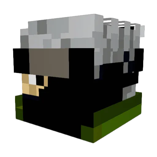 Cxz777 Minecraft avatar head, 3D render