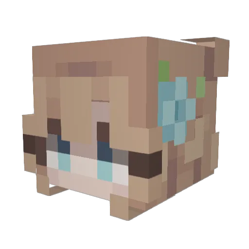 CyanAquaS Minecraft avatar head, 3D render