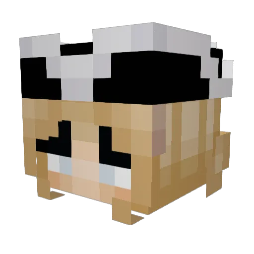 CyanCane Minecraft avatar head, 3D render