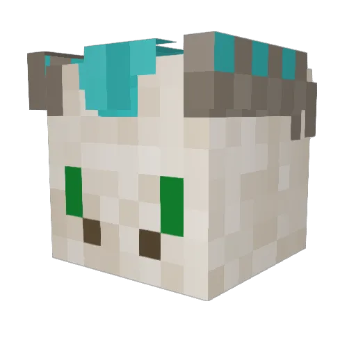 CyanFootedFerret Minecraft avatar head, 3D render