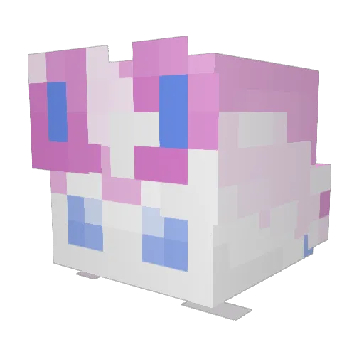 CyanTheSylv Minecraft avatar head, 3D render