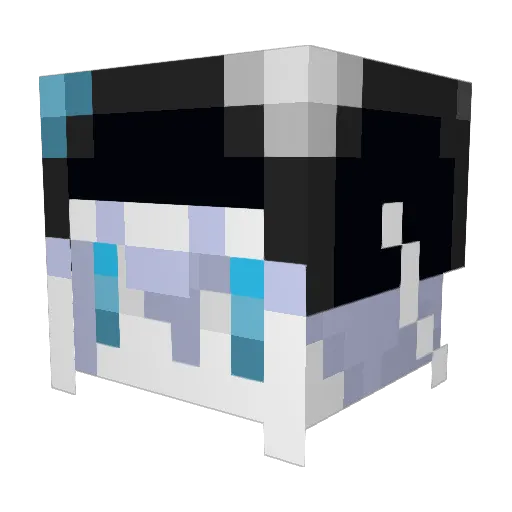 Cyan__Rain Minecraft avatar head, 3D render