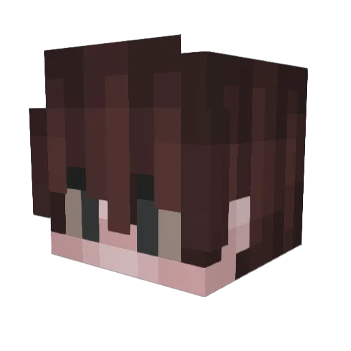 CyanideEleven Minecraft avatar head, 3D render