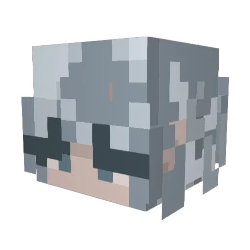 CyanideEnvy3691 Minecraft avatar head, 3D render
