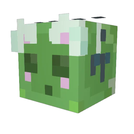 Cyanosis0 Minecraft avatar head, 3D render