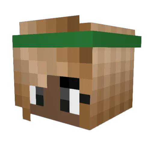 Cyanthia Minecraft avatar head, 3D render